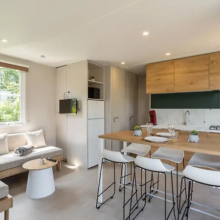 Papillon - Familie 6p *