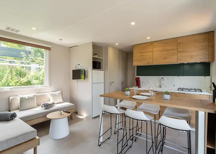 Papillon - Familie 6p *