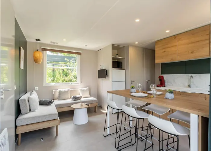 Papillon - Familie 6p * بوالون