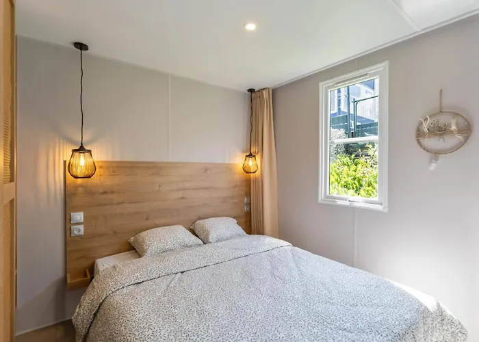 Papillon - Familie 6p *